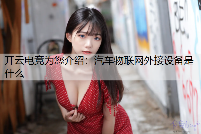 汽车物联网外接设备是什么